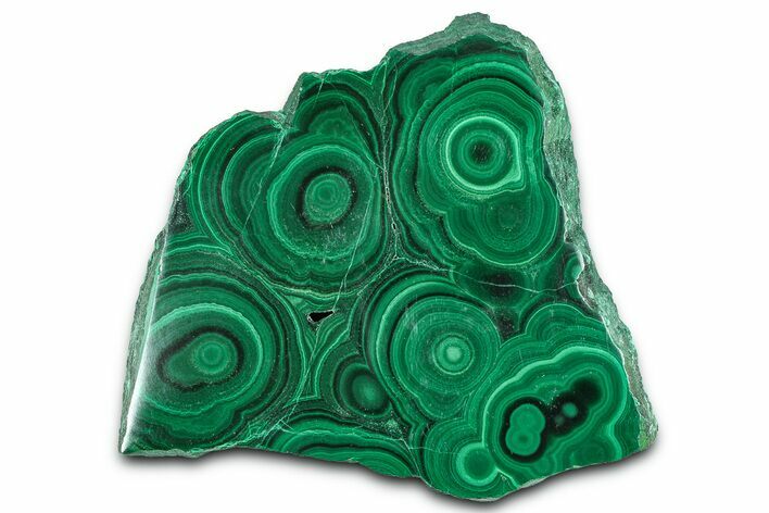 Flowery Polished Malachite Slab - DR Congo #360531